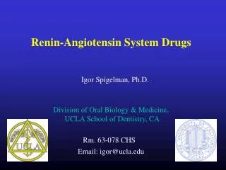 Renin-Angiotensin System Drugs