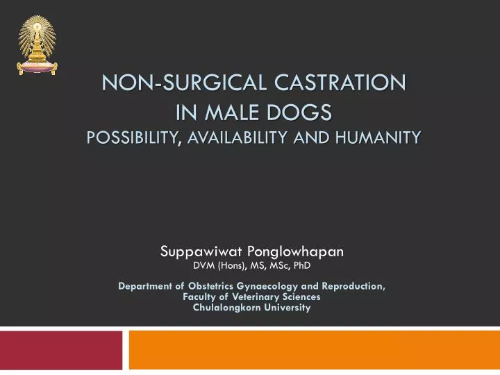 non surgical castration in male dogs possibility availability and humanity