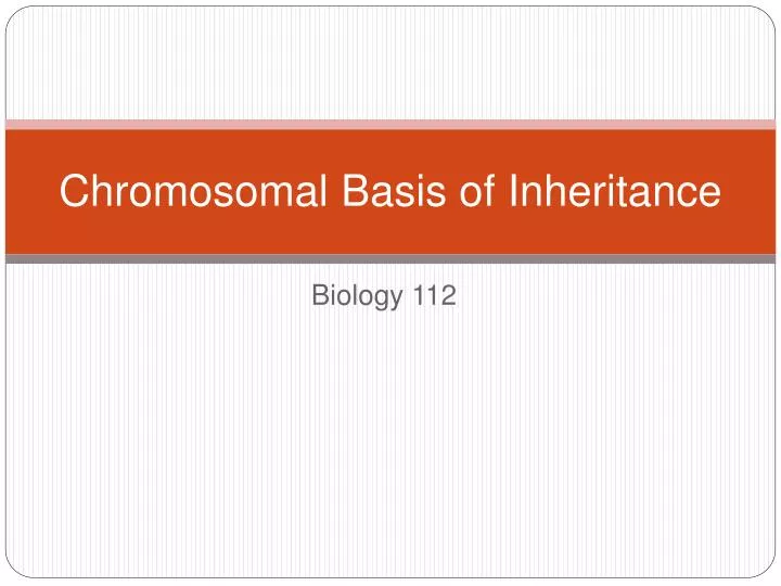 chromosomal basis of inheritance