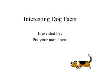 Interesting Dog Facts