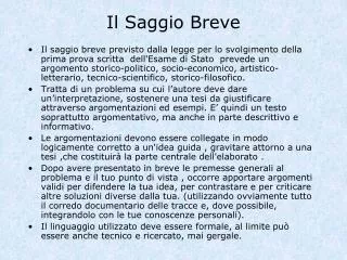 il saggio breve