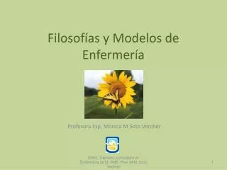 filosof as y modelos de enfermer a