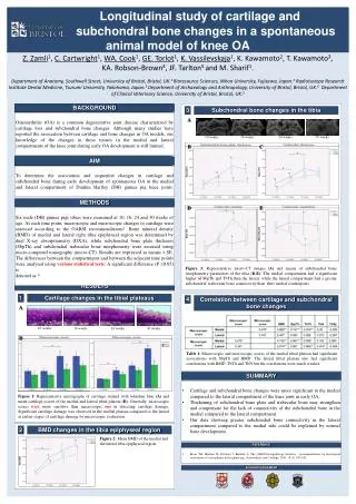 Longitudinal study of cartilage and 		 subchondral bone changes in a spontaneous animal model of knee OA