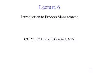 Lecture 6