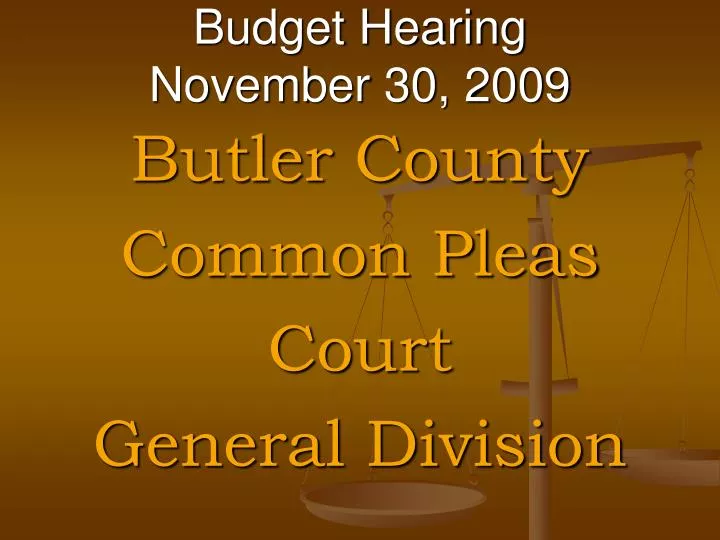 budget hearing november 30 2009