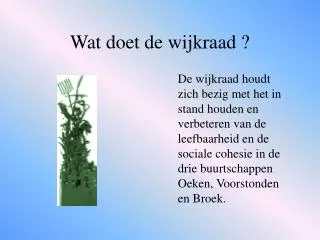 Wat doet de wijkraad ?