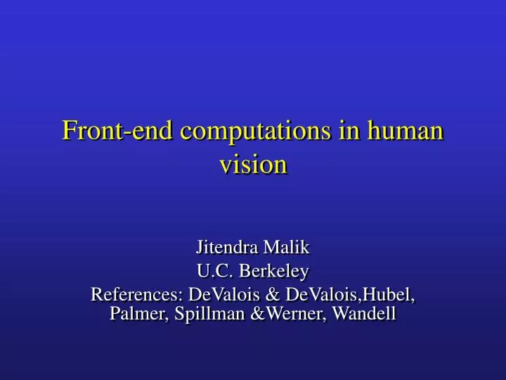 front end computations in human vision