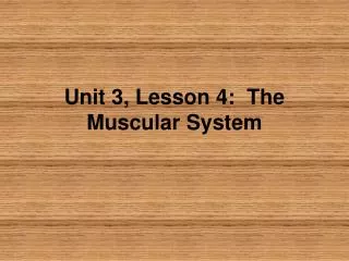 Unit 3, Lesson 4: The Muscular System