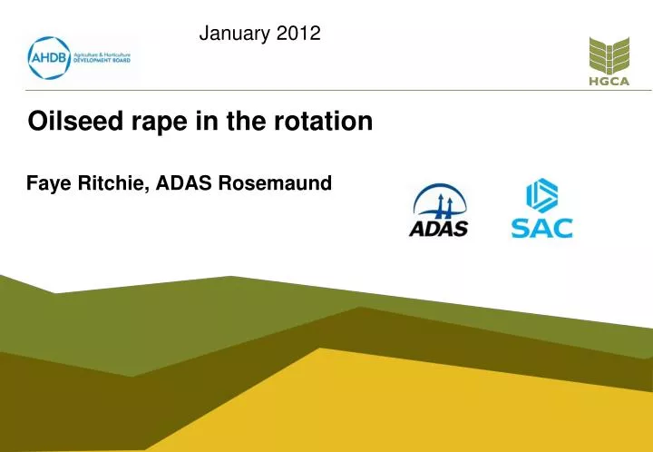 oilseed rape in the rotation
