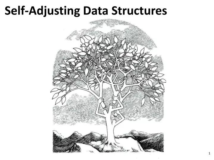 self adjusting data structures