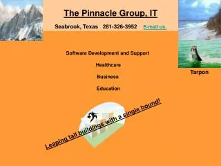 The Pinnacle Group, IT