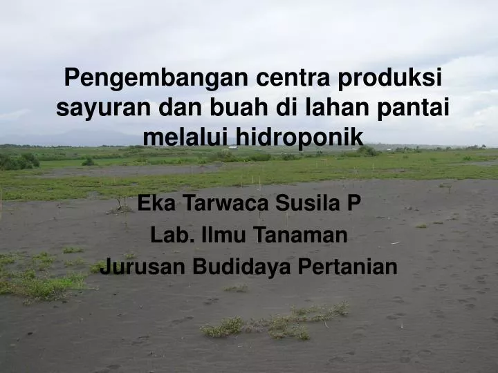 pengembangan centra produksi sayuran dan buah di lahan pantai melalui hidroponik