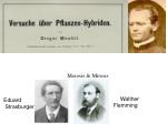 Eduard Strasburger - slide 1