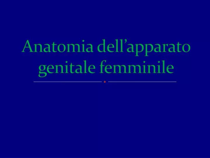 anatomia dell apparato genitale femminile