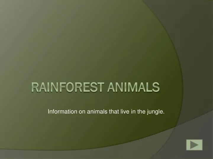 information on animals that live in the jungle
