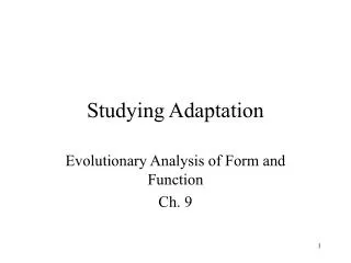 Studying Adaptation