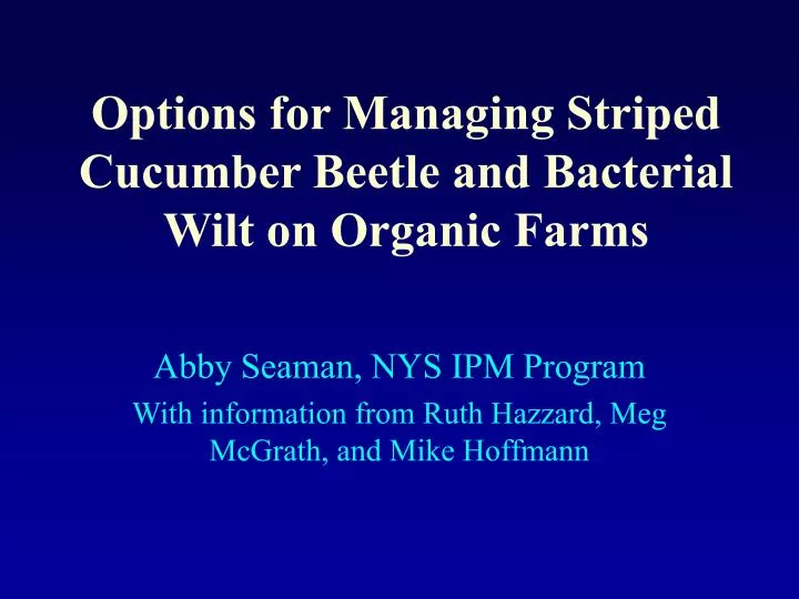 options for managing striped cucumber beetle and bacterial wilt on organic farms