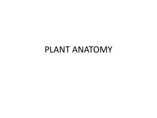 PLANT ANATOMY