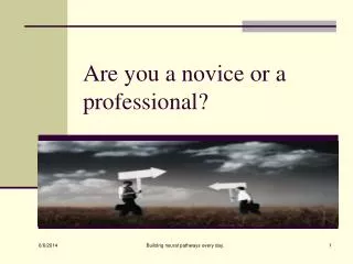 Are you a novice or a professional?