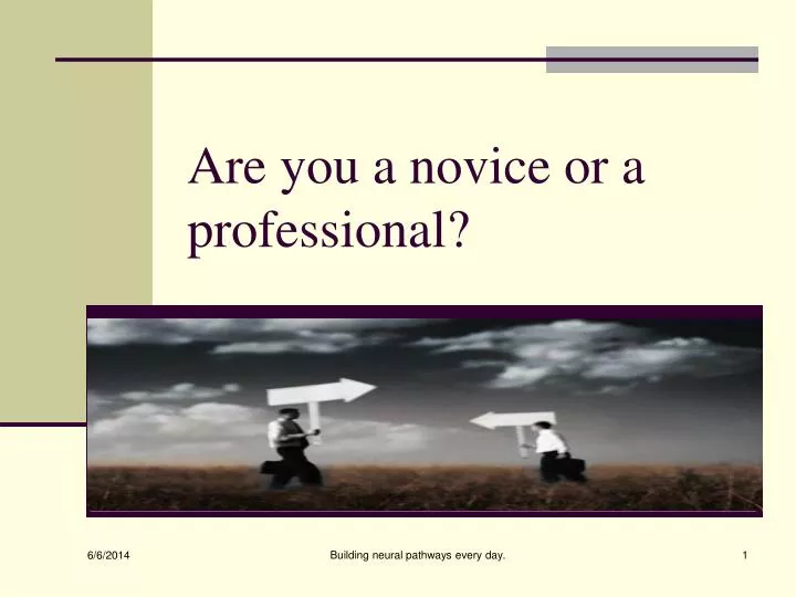 are you a novice or a professional