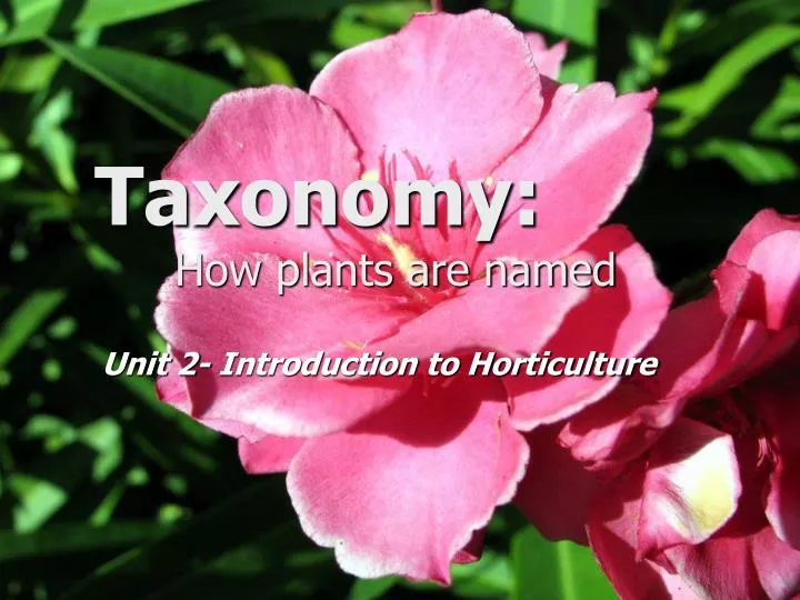 taxonomy how plants are named
