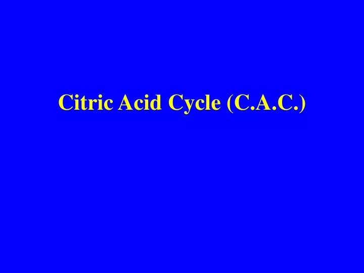 citric acid cycle c a c