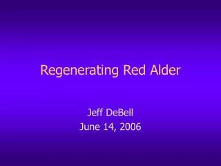 Regenerating Red Alder