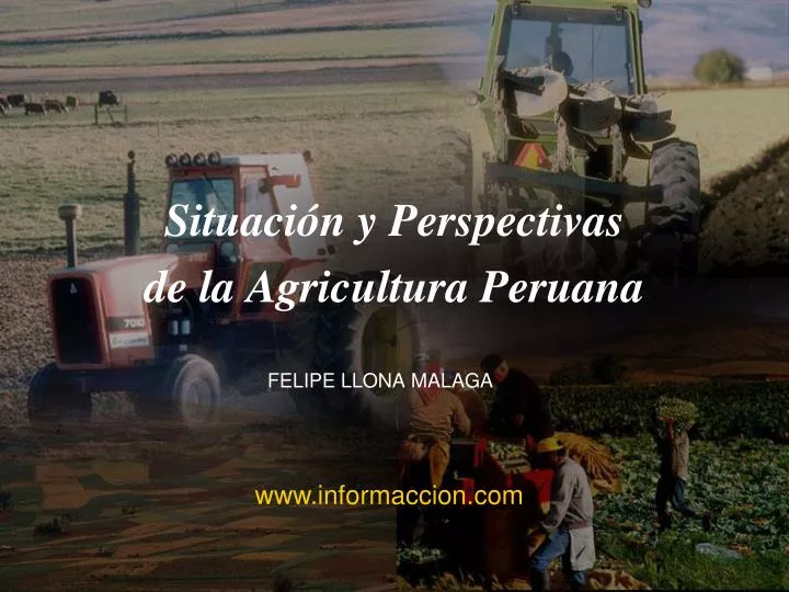 situaci n y perspectivas de la agricultura peruana