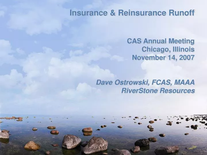insurance reinsurance runoff cas annual meeting chicago illinois november 14 2007