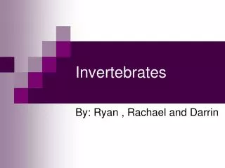 invertebrates