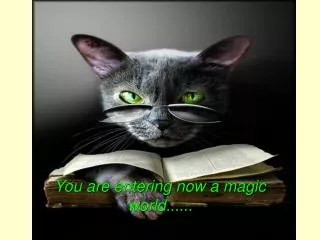 You are entering now a magic world......