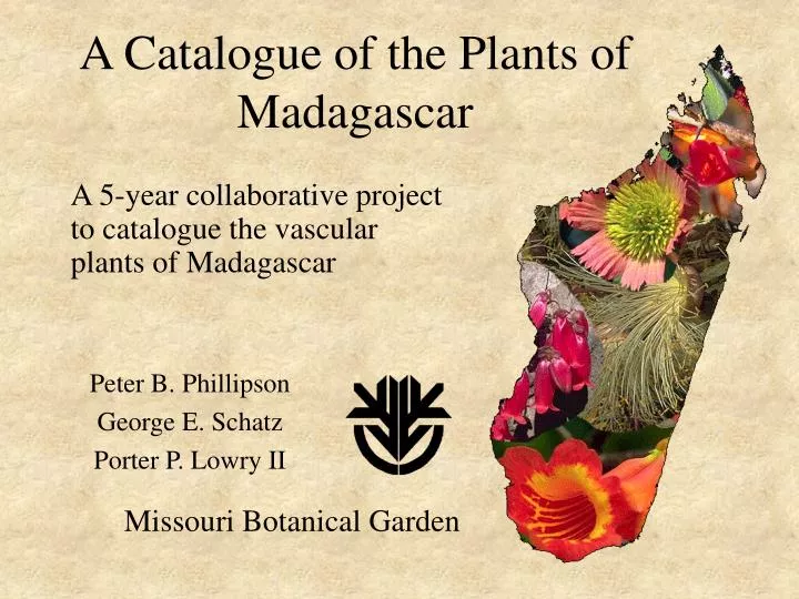 a catalogue of the plants of madagascar