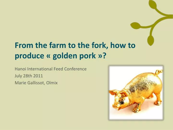 from the farm to the fork how to produce golden pork