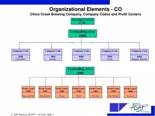 Organizational Elements - CO Chico Creek Brewing Company, Company Codes and Profit Centers