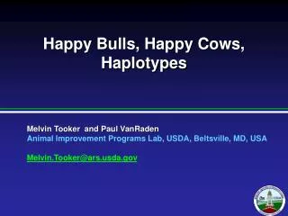Happy Bulls, Happy Cows, Haplotypes