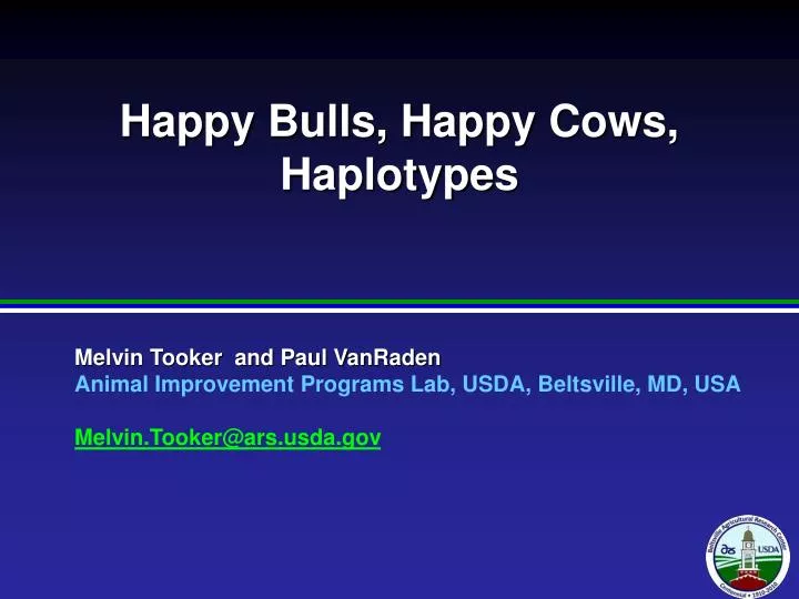 happy bulls happy cows haplotypes