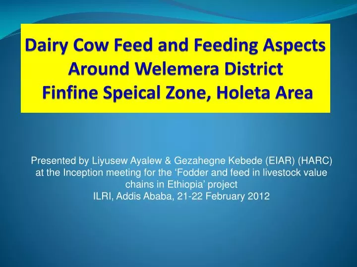 dairy cow feed and feeding aspects around welemera district finfine speical zone holeta area