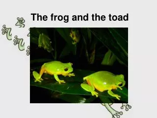 The frog and the toad