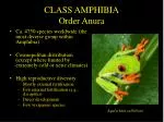 CLASS AMPHIBIA Order Anura - slide 1