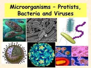 Microorganisms – Protists, Bacteria and Viruses
