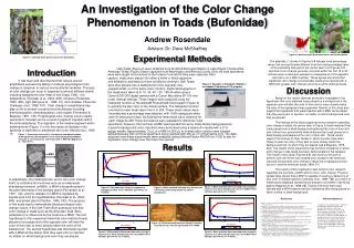 An Investigation of the Color Change Phenomenon in Toads (Bufonidae)