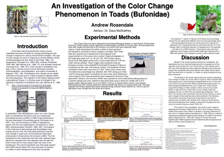 an investigation of the color change phenomenon in toads bufonidae