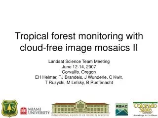 Tropical forest monitoring with cloud-free image mosaics II