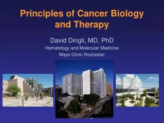 Principles of Cancer Biology and Therapy