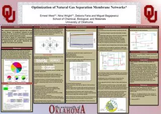 Optimization of Natural Gas Separation Membrane Networks* Ernest West**, Nina Wright**, Debora Faria and Miguel Bagaj