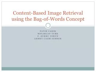 Content-Based Image Retrieval using the Bag-of-Words Concept