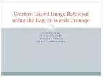 Content-Based Image Retrieval using the Bag-of-Words Concept - slide 1
