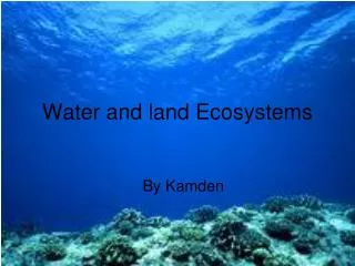 Water and land Ecosystems