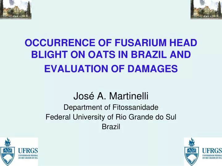 occurrence of fusarium head blight on oats in brazil and evaluation of damages