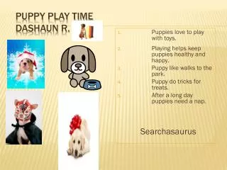 Puppy play time Dashaun R.